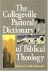 The_Collegeville_pastoral_dictionary_of_biblical_theology