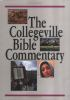 The_Collegeville_Bible_commentary